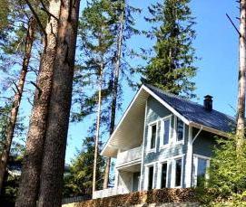 Имитация бруса Оптима - модель 2