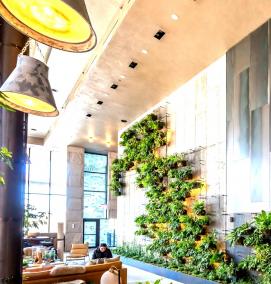 Интерьерное озеленение - модель 3