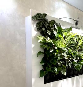 Интерьерное озеленение - модель 2