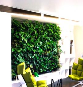 Искусственное озеленение - тип 1