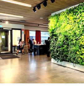 Искусственное озеленение - тип 4