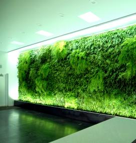 Искусственное озеленение - тип 2