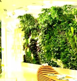 Искусственное вертикальное озеленение - модель 2