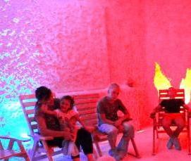 Искусственные теплицы - модель 4