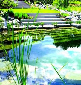 Искусственный водоем - тип 2