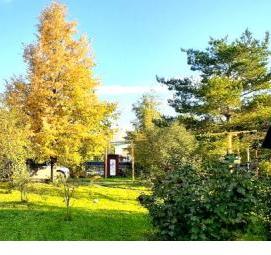 Кадастровое межевание садовых участков - модель 3