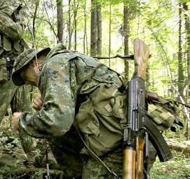 Камуфляж - модель 2