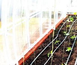 Капельная теплица - вариант 1