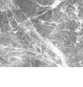 Керамогранит 30х60 серый - модель 4