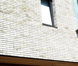 Кирпич бетонный полнотелый 250х120х88 - вариант 2