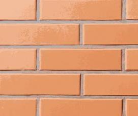 Кирпич полнотелый 250х120х65 - тип 1