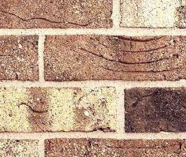 Кирпич полнотелый забутовочный - модель 4