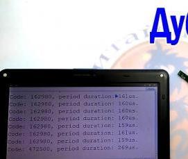 Китайские шлагбаумы - вариант 3