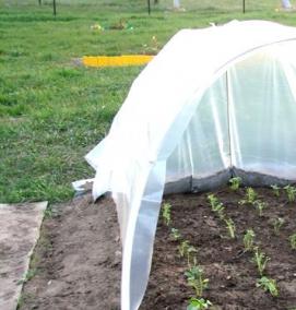 Клеенка для парника - модель 4
