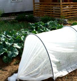 Клеенка для парника - модель 2