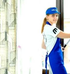 Клининг после дезинсекции - модель 4