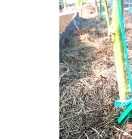 Колышки для грядок - вариант 1