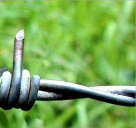 Колючая проволока б/у - вариант 3