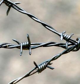 Колючая проволока - вариант 1