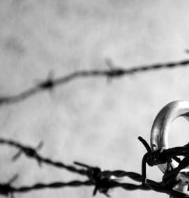 Колючая проволока - вариант 2