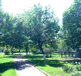 Коммунальное озеленение - модель 1