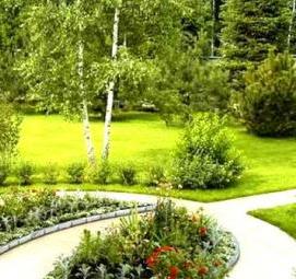 Коммунальное озеленение - модель 4