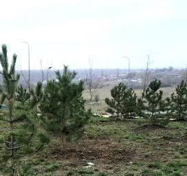 Коммунальное озеленение - модель 3