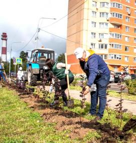 Компенсационное озеленение - модель 4