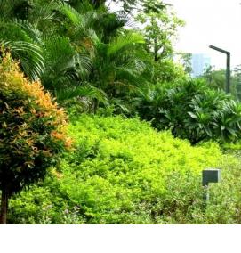 Компенсационное озеленение - модель 3