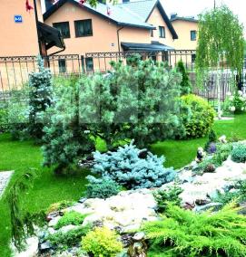 Комплексное озеленение - тип 4