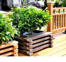 Контейнерное озеленение - вариант 1