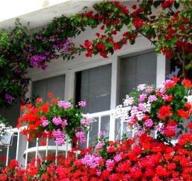 Контейнерное озеленение - вариант 2