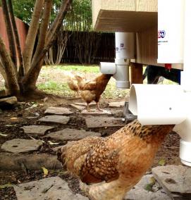 Кормушка для кур - вариант 1