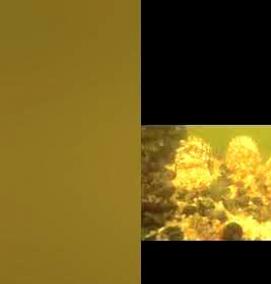 Кормушки под водой - вариант 4