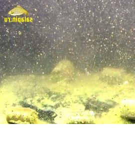 Кормушки под водой - вариант 3