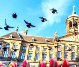 Королевские сваи - модель 1