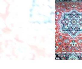 Ковролин на дачу - модель 4