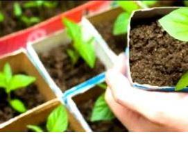 Ковролин на натуральной основе - вариант 1