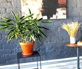 Ковролин светло-серый - модель 2