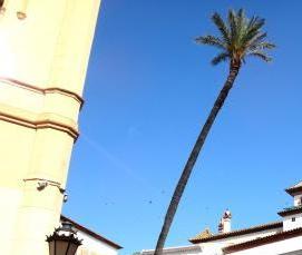 Ковролин Ветерок - тип 4