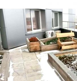 Кровельное озеленение - вариант 1