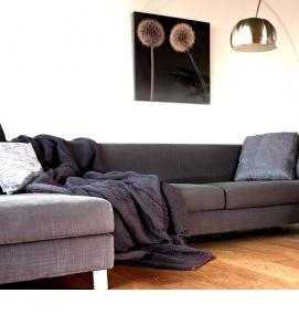 Ламинат Балтерио Дуб - вариант 1