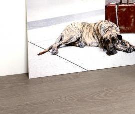 Ламинат Дуб Айвори - модель 2