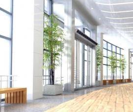 Ламинат Дуб Авеню - тип 1