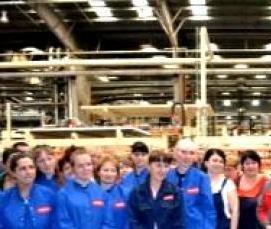 Ламинат Дуб Византийский - вариант 1