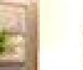 Ламинат Сосна Касцина - тип 2