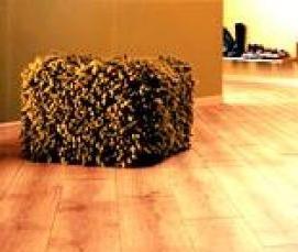 Ламинат Танзанский Венге - вариант 2