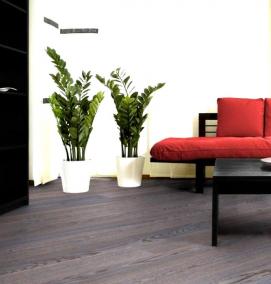 Ламинат Венге золотой - тип 2