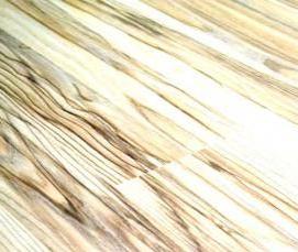 Ламинат Ясень - тип 2