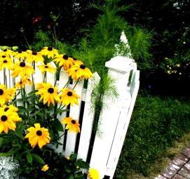 Ландшафтный дизайн цветочных клумб - тип 1